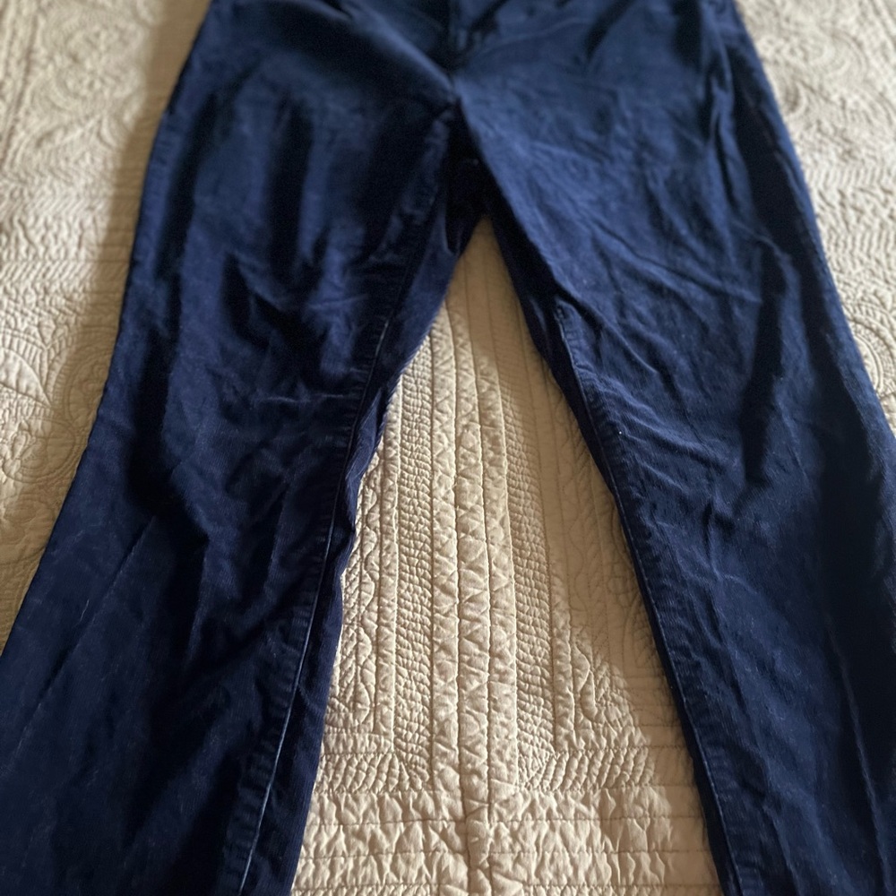 Lands' End Deep Blue Trousers with Brown Accent